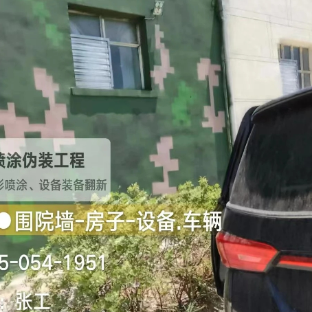 凉山数码迷彩漆施工